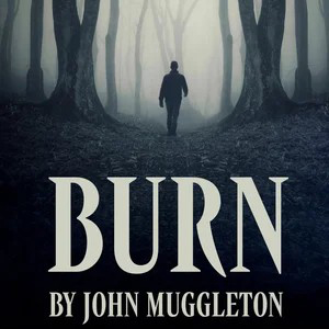 Ensemble Stage Burn.jpg